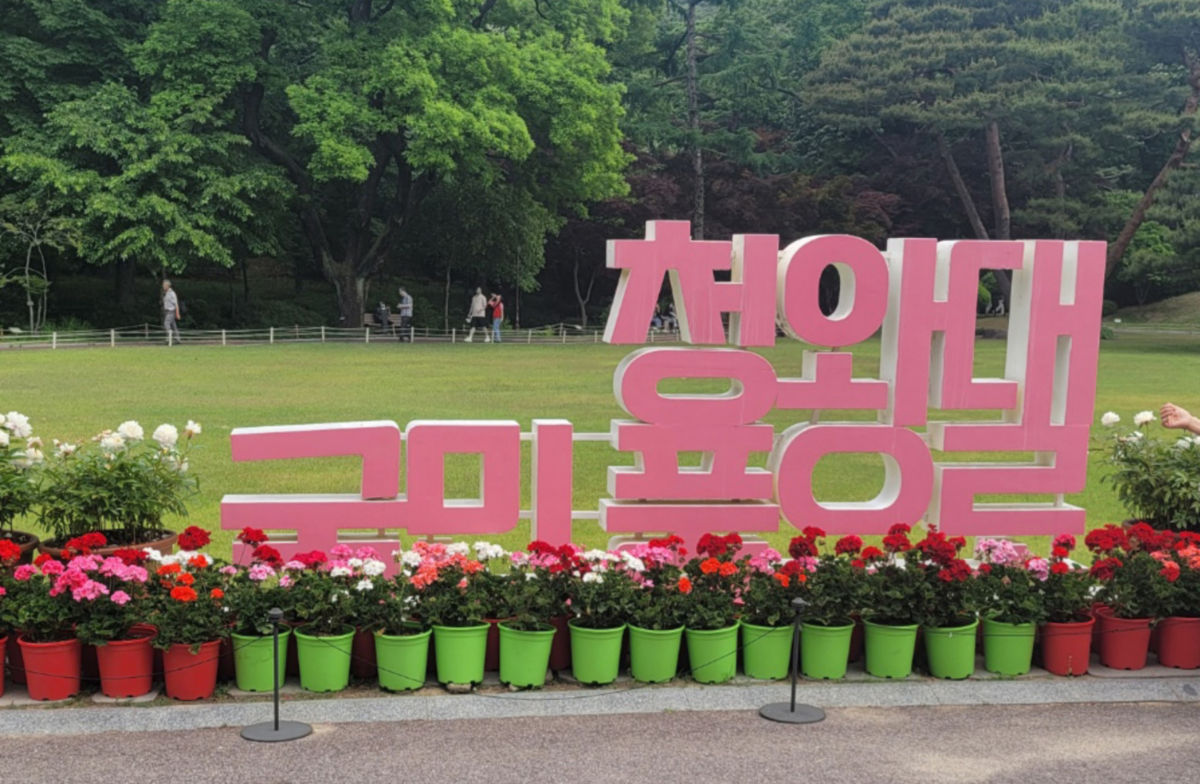 독거노인 지원 78