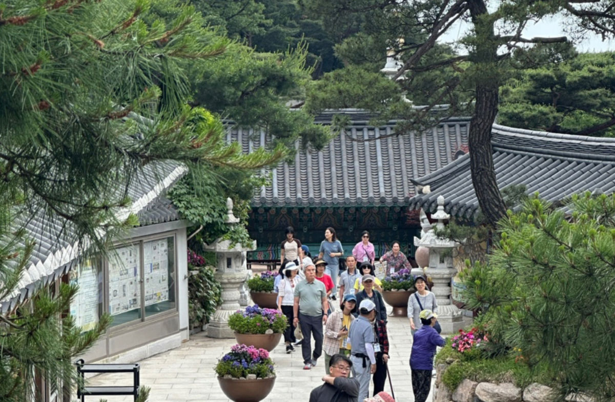 독거노인 지원 82