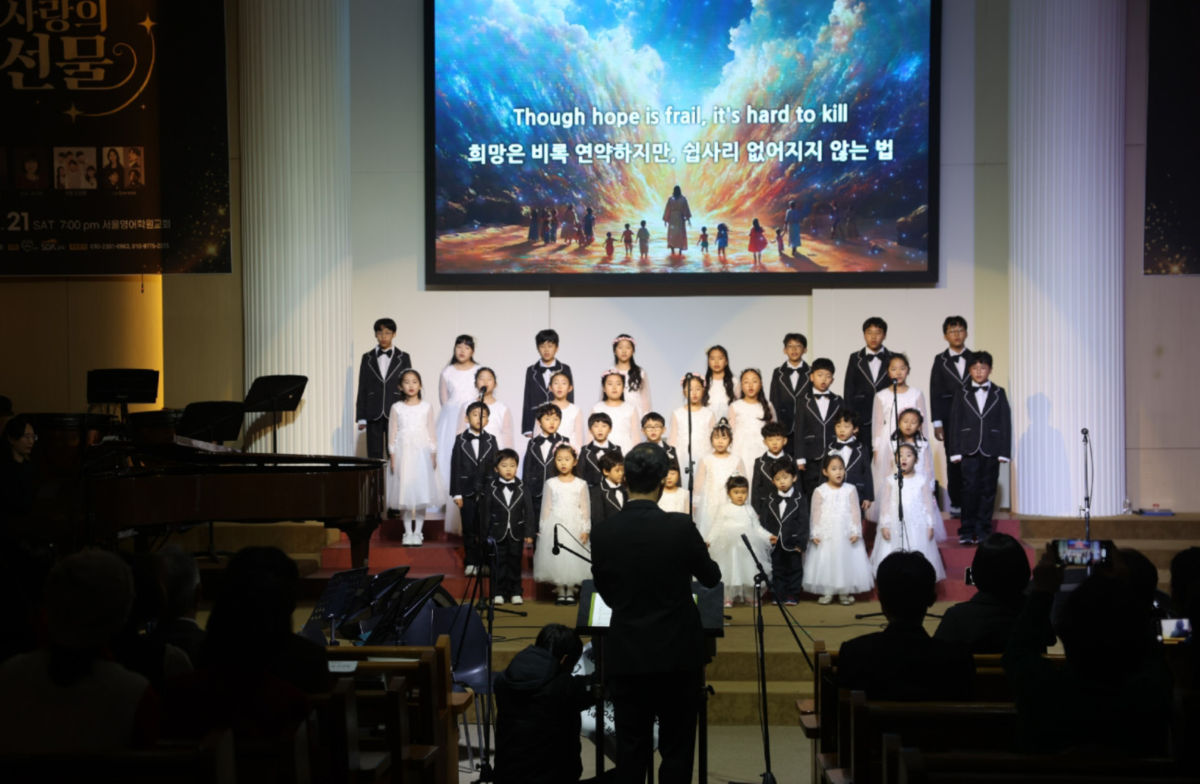 특별프로그램 24