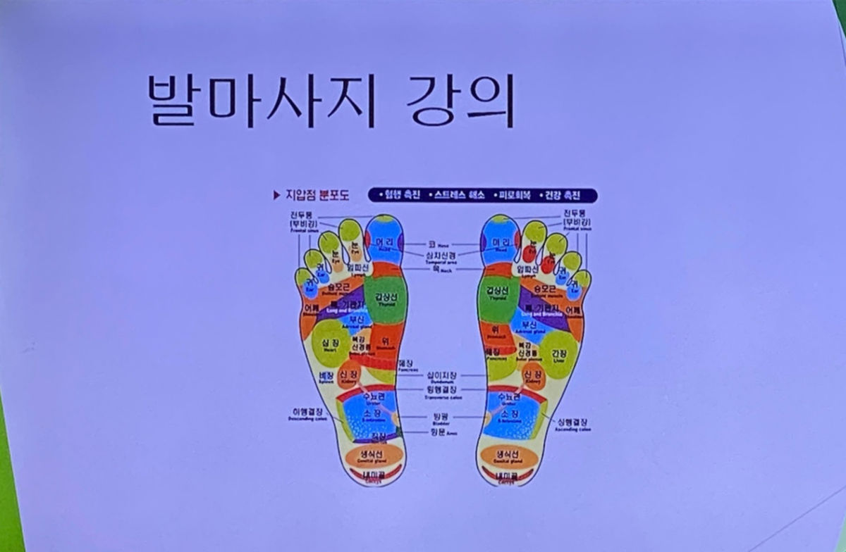 특별프로그램 66