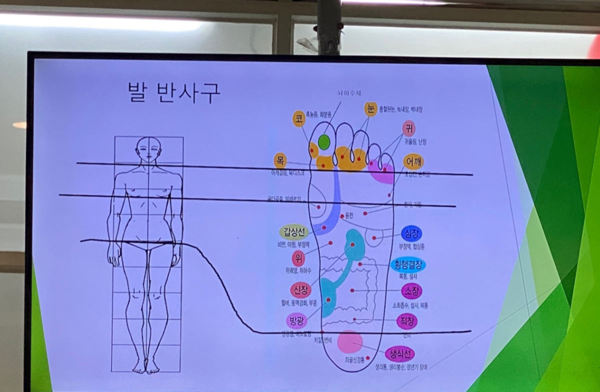 특별프로그램 72